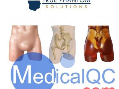 WEK-P成人骨盆模体图3