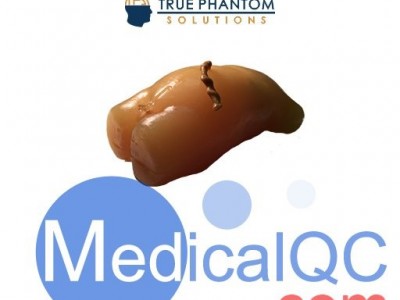 US-NO1新生儿躯干超声模体图3