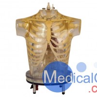 RSD RS-800T胸肺模体
