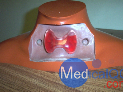 RSD RS-542甲状腺模体图2