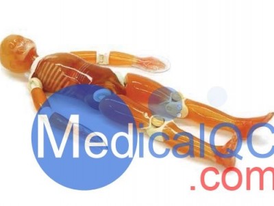 KYOTO KAGAKU PBU-70小孩全身模体图2