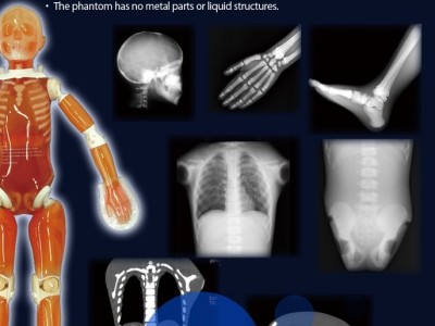 KYOTO KAGAKU PBU-70小孩全身模体图3