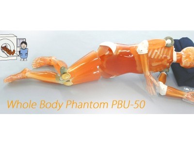 KYOTO KAGAKU PBU-50全身模体图2