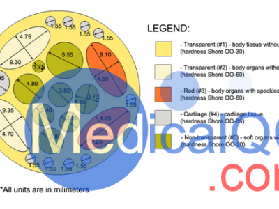 RT-C01大鼠模体图3