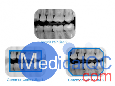 ScanX Duo口腔扫描仪图2