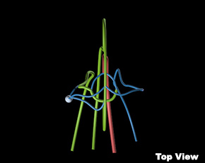 WEK-BV脑血管模体,Brain Vessels模体定制,脑肿瘤血管模体