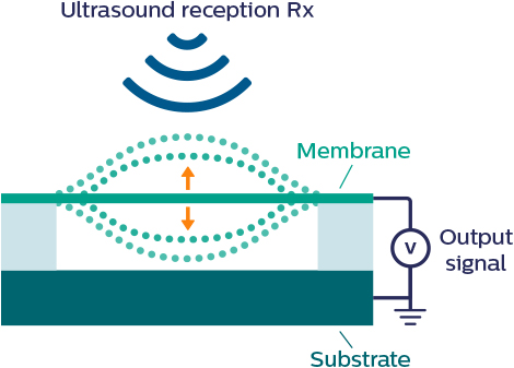 CMUT receiver - capacitive micromachined ultraso<i></i>nic transducers