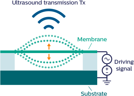 CMUT transmitter - capacitive micromachined ultraso<i></i>nic transducers