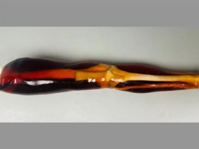 KE-A02成人膝关节模体，KE-A02腿部模型图1