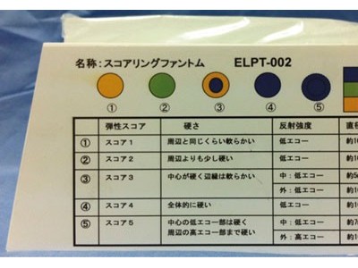ELPT-002弹性成像模型图1