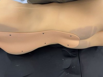 CAE BPFAST1800创伤超声重点评估训练模型图2