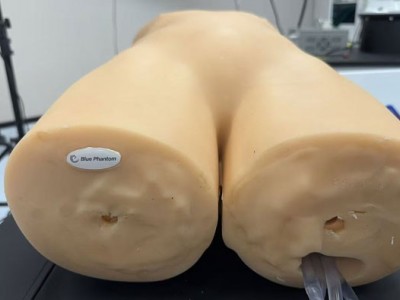 CAE BPFAST1800创伤超声重点评估训练模型图3