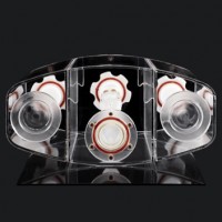 CaliberMRI 208前列腺模体