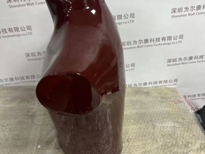 RSD RS-320胸/肺模体图2