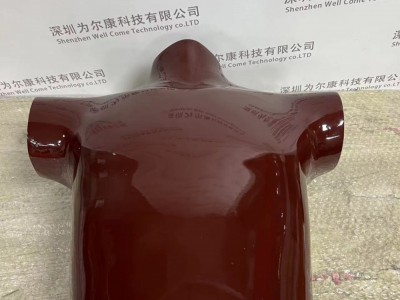 RSD RS-320胸/肺模体图4