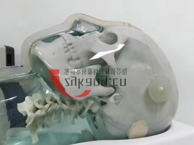 CIRS 603A头部MRI模体图3