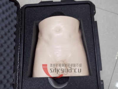 CIRS 801-P男性骨盘模体图4