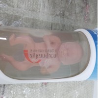 CIRS 068胎儿超声模体