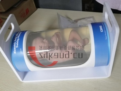 CIRS 068胎儿超声模体图5