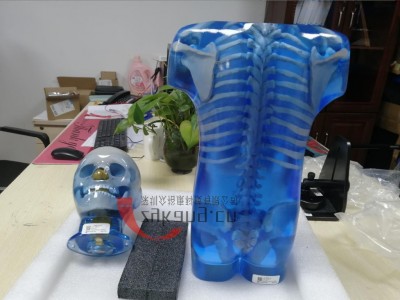 CIRS 715儿童彷真模体图2