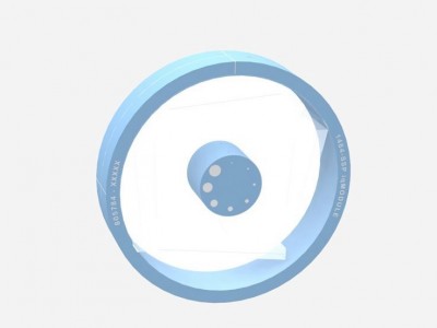 Advanced iqModules模体图5