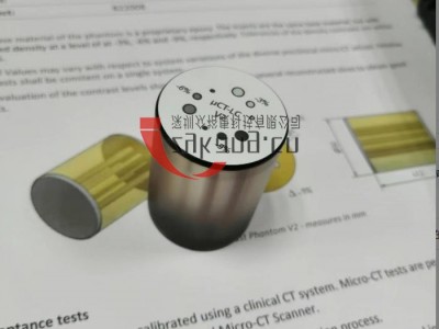 Micro-CT对比量表模体图6