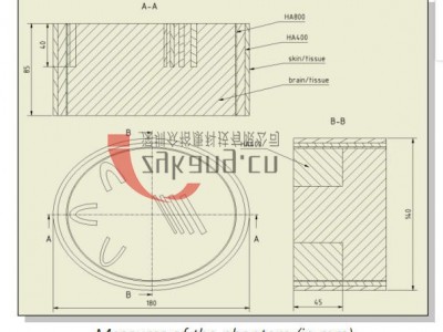 颅脑CT模型，Cranial CT Phantom图5