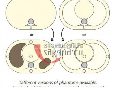 QRM-Pediatric-Phantoms小儿胸腹部模体图2
