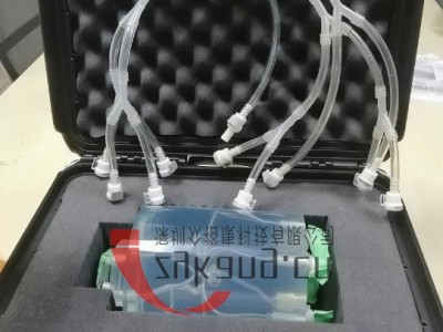 WEK-Blood颅内血管模体图4