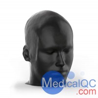 NLP1000头颈模体