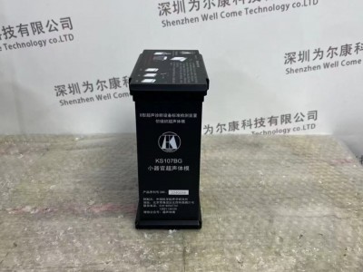 KS107BG高频仿组织超声体模图5