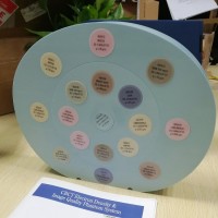 CIRS 062M电子密度模体