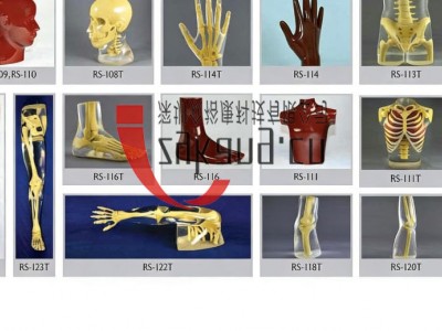 美国RSD RS-116脚模体图2