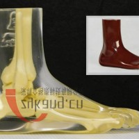 美国RSD RS-116脚模体