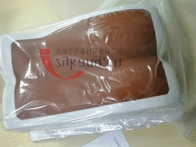 CIRS 034腰椎模体图5
