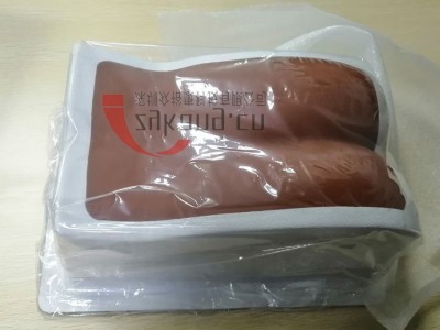 CIRS 034腰椎模体图4