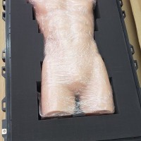 TurePhantom R＆D成人躯干模体