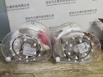 NEMA IEC躯干模体图5