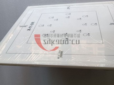 德国IBA DIGI-13检测模体图4