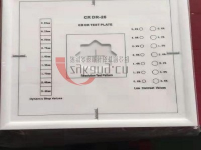 德国IBA DIGI-13检测模体图3