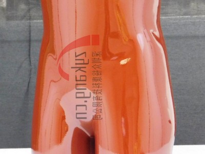 RSD RS-113骨盘模体RS-113T脊椎模体图5