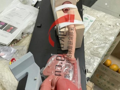 LM-103胃肠镜模拟器图2