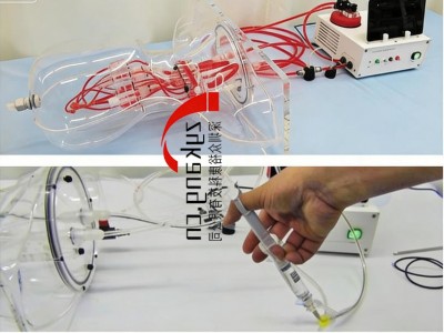 HB-1头部血管模型图3