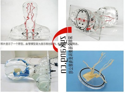 HB-1头部血管模型图5