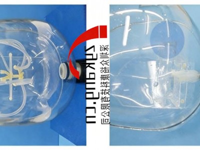 HB-1头部血管模型图4