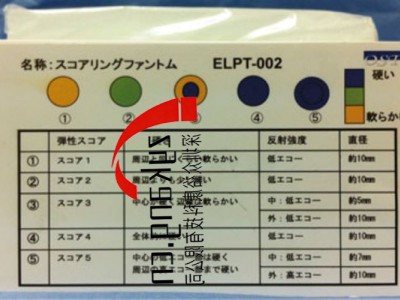 ELPT-002弹性成像模型图5