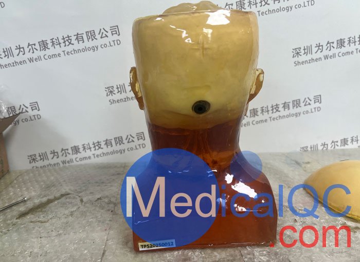 HD-C03成人头模，HD-C03血管造影头模，HD-C03头部模体实拍图