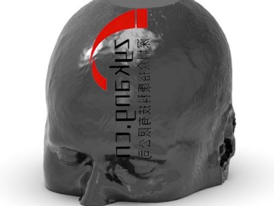 WEK50-02头部CTA模体图5