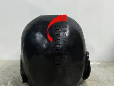 WEK50-02头部CTA模体图3