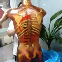 CT-A01成人躯干模体